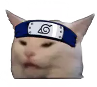 a cat wearing a headband with a naruto symbol on it 's head .