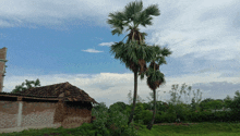 a brick building with a tiled roof sits in the middle of a field with palm trees