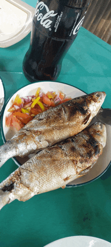 a bottle of coca cola sits behind a plate of fish