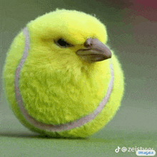 a yellow tennis ball with a bird 's beak on it