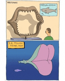 a cartoon of a man looking at a megalodon shark 's skeleton .