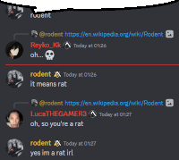 a screenshot of a discord conversation between rodent and reyka kk