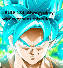 a picture of a cartoon character with blue hair and the caption # rule 184 always obey whoever sent this rule