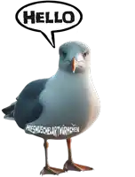 a seagull with a speech bubble saying hello