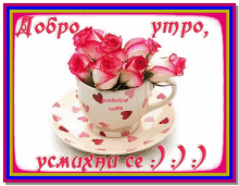 a cup of pink roses sits on a saucer on a colorful background