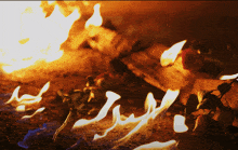 a close up of a fire with a blurred background that says ' arabic ' on it