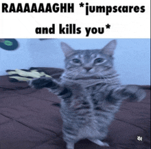 a cat is standing on its hind legs with a caption that says raaaaaghh jumpscares and kills you