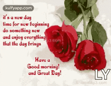 it 's a new day time for new beginning do something new and enjoy everything that the day brings have a good morning and great day .