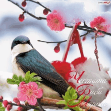 a bird is sitting on a branch with pink flowers and a unicoart logo in the corner