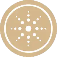 a circle with white dots on it and a white center