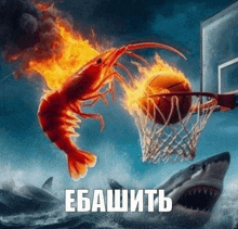 a picture of a flaming shrimp shooting a basketball into a hoop with a shark in the background