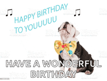 a birthday card with a dog wearing a bow tie and the words have a wonderful birthday on it