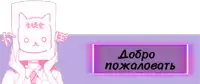 a person with a cat on their head and a purple button that says добро пожаловать