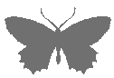 a pixel art of a butterfly with a white background