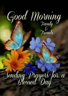 a good morning message with butterflies and flowers