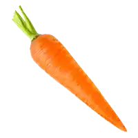 a carrot with a green stem and a white background