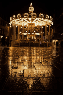 a merry go round is lit up at night