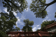 looking up at the sky from a balcony with trees in the foreground