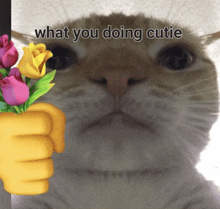 a picture of a cat with a hand holding flowers and the words what you doing cutie