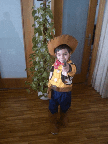 a young boy dressed as woody from toy story is pointing a gun