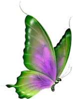 a green and purple butterfly is flying in the air