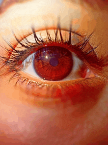 a close up of a woman 's red eye with long lashes