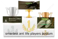 a podium for the smartest ant life players with trophies