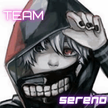 a drawing of a boy with a mask on his face and the words team sereno below him