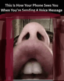 When U Make A Voicemail Meme