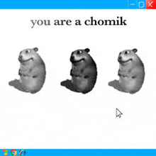 three hamsters are sitting next to each other on a computer screen with the words `` you are a chomik '' written on it .