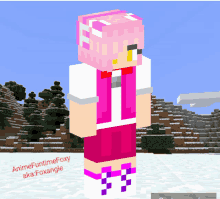 a minecraft skin of a girl with pink hair and the name animefuntimefoxy aka foxangle