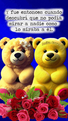 a couple of teddy bears sitting next to each other with roses in the background