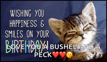 a birthday card with a cat and the words wishing you happiness and smiles on your birthday love you a bushel and a peck