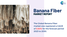 a banana fiber market report shows the global banana fiber market size registered a cagr of 5.5% for the forecast period 2023 to 2030