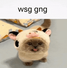 a cat wearing a cow hat with the words wsg gng written on the bottom