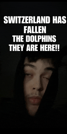 switzerland has fallen the dolphins they are here!