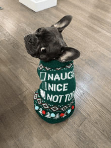 a dog wears a green sweater that says naughty nice not too