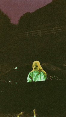 a person wearing a yellow ski mask and a green jacket