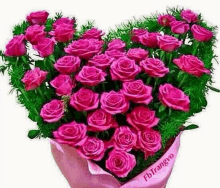 a heart shaped bouquet of pink roses with green leaves .