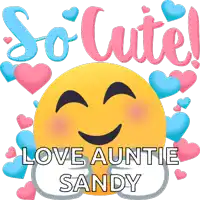 a smiley face with the words so cute love auntie sandy surrounded by hearts