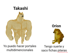 a picture of a doge with the words takashi and orion on it