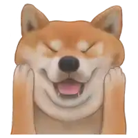 a shiba inu dog with its eyes closed and its tongue out