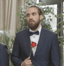 a man in a suit holding a red rose