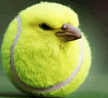 a yellow tennis ball with a bird 's beak on it