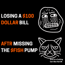 a drawing of a grumpy cat with the words losing a $ 100 dollar bill after missing the $ fish pump below it