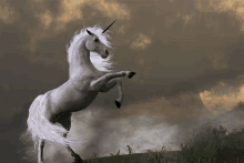 a white unicorn with a horn is standing on its hind legs on a hill .