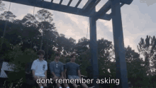 three young men are sitting on a bench under a pergola with the words " dont remember asking " written below them