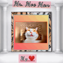 a framed picture of a cat with the words mr. moe man written above it