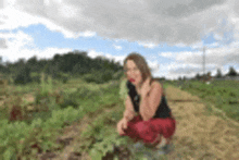 a woman is kneeling down in a field of plants .