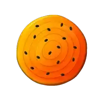 an orange circle with black seeds on it